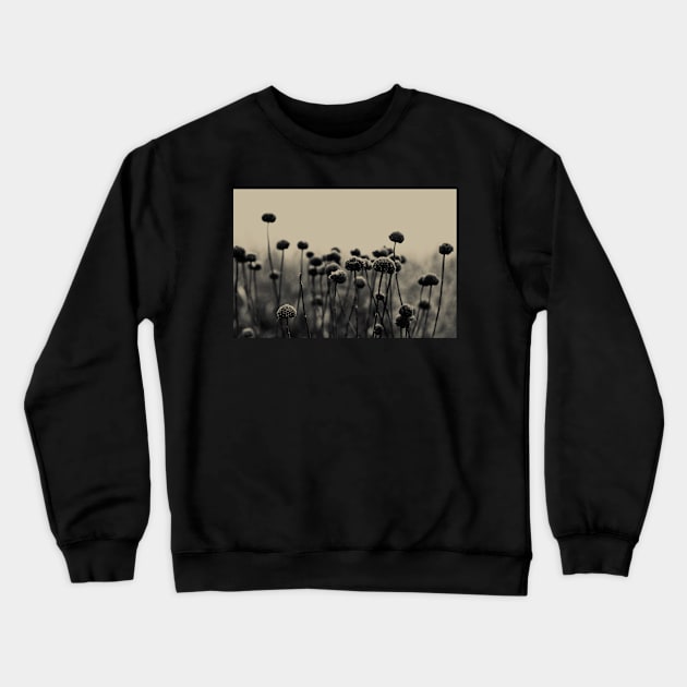 Field of Dreams Crewneck Sweatshirt by oliviastclaire